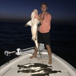 Meet your Posher, Hunter